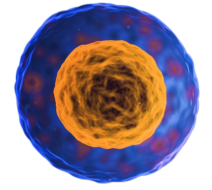Scientific cell visualization